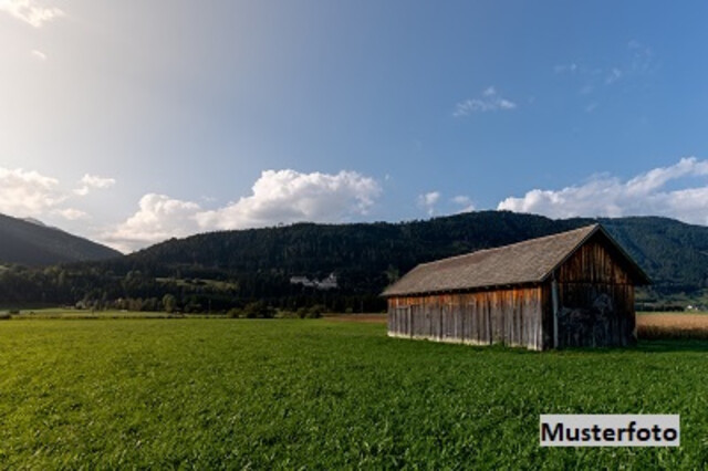 Vielseitig nutzbar: L-förmiges Wohnhaus mit Wirtschaftsbereich & Loggia