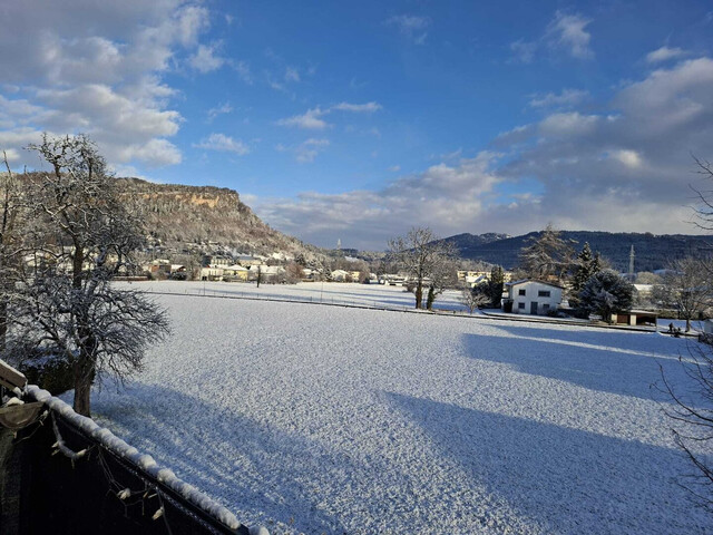 charmante und helle 4,5-Zimmer-Wohnung in Lauterach: Wintergarten mit Blick ins Grüne!
