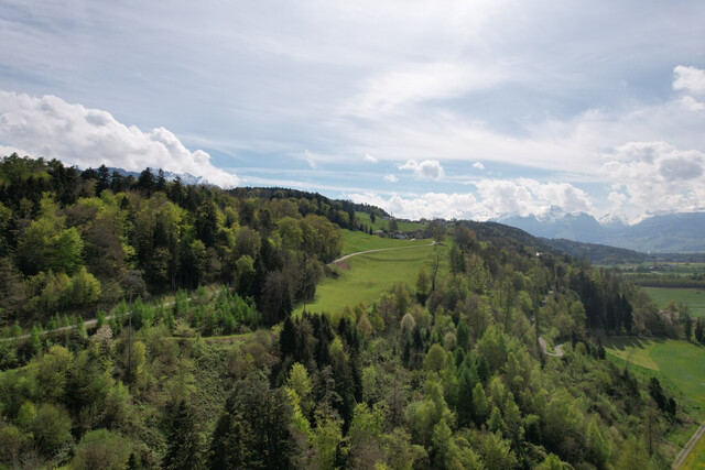 Hier beginnt Ihre persönliche Geschichte - Baugrundstück in Feldkirch
