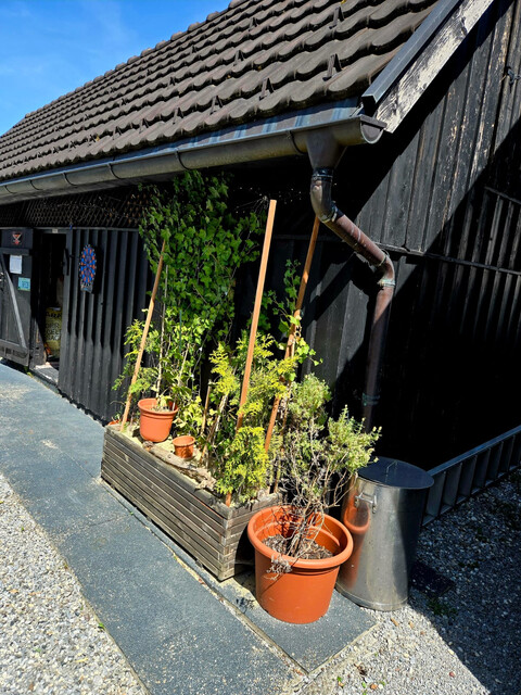 PROVISIONSFREI: Modernisiertes 5-Zimmer-Reihenhaus mit Garten nahe Bodensee & Strandbad