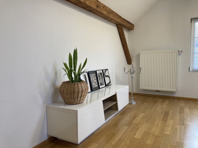 Loftartige Dachgeschoss-Wohnung in naturnaher Lage!
