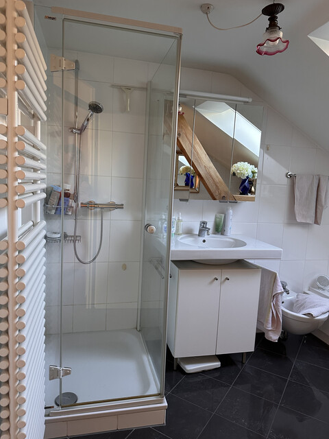 Altbau Dachgeschosswohnung mit Balkon, Garten, Stauraum &amp; Parkplatz!