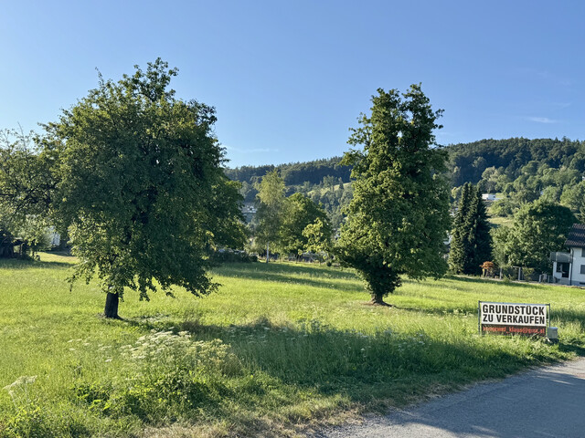 Baugrundstück in Traumlage in Klaus - provisionsfrei