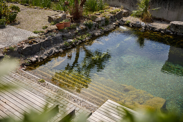Stilvolles Zuhause in Altach mit Schwimmteich