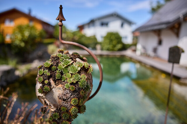 Stilvolles Zuhause in Altach mit Schwimmteich