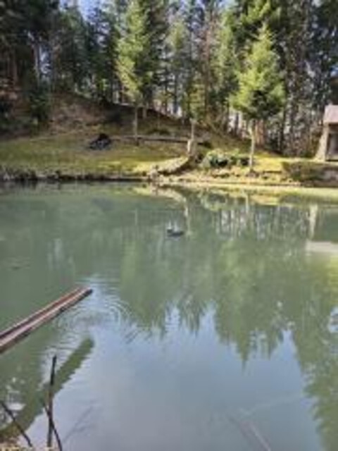 Rückzugsort in den Bergen – Charmante Hütte am See gelegen