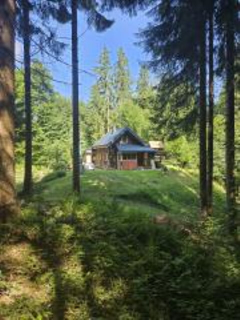 Rückzugsort in den Bergen – Charmante Hütte am See gelegen