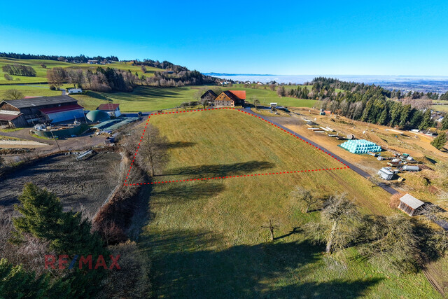 Goldene Felder für Ihre Ernte –
Ihre Chance, den Boden zum Leben zu erwecken!