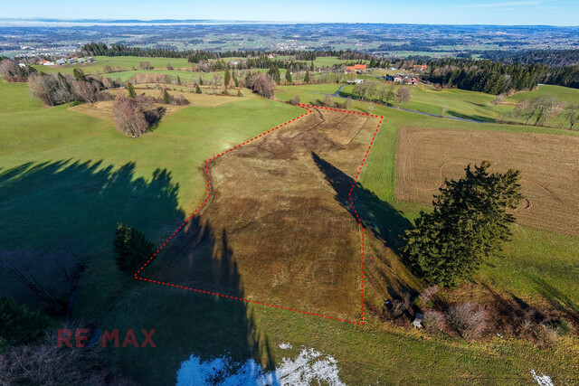 Goldene Felder für Ihre Ernte –
Ihre Chance, den Boden zum Leben zu erwecken!
