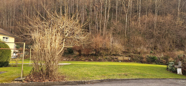 Modernes Wohngefühl im Doppelhaus: 4 Zimmer & hochwertige Ausstattung! Haus 1