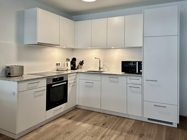 Neubau 3 Zi. Wohnung mit Terrasse und Extras in Top-Lage - OG