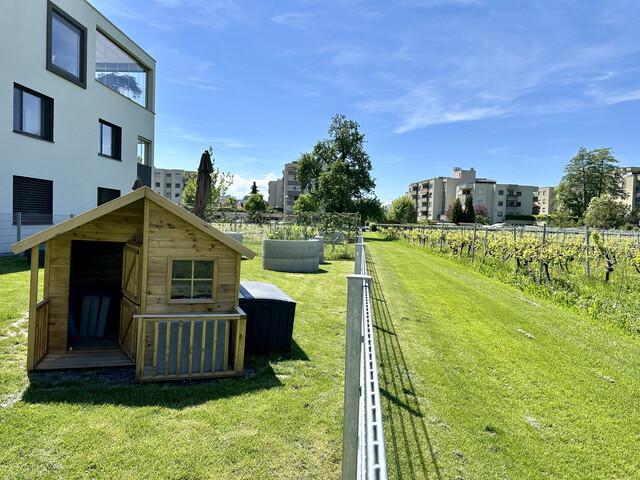 Neubau 3 Zi. Wohnung mit Terrasse und Extras in Top-Lage - OG