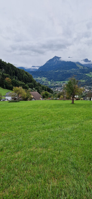 Herrliches Grundstück in Toplage in Göfis! Teilflächen möglich!