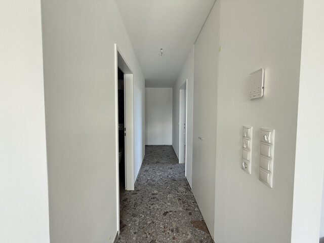 NEUBAU: 2-Zimmerwohnung direkt am Rheindelta in Fußach zu vermieten