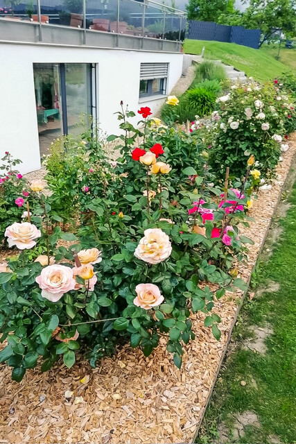Neuwertige-Aufstockbare Doppelhaushälfte mit Wintergarten und Garage