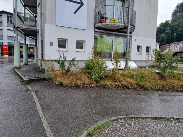 REPRÄSENTATIVE GEWERBEFLÄCHE IN FREQUENTIERTER LAGE