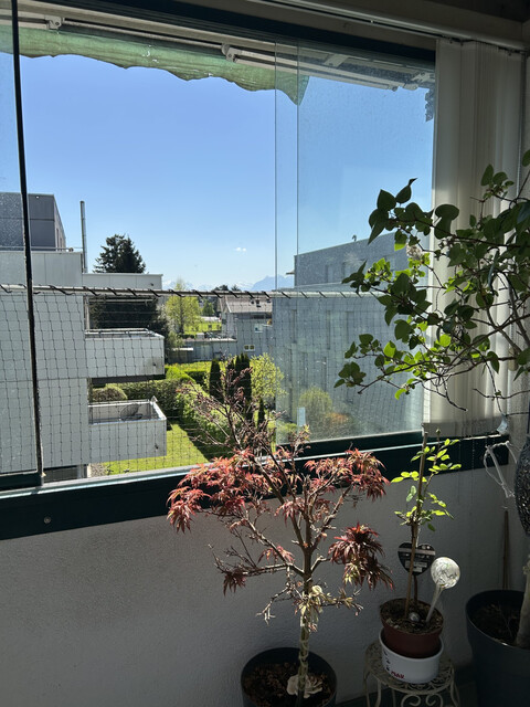 Gemütliche, helle 3-Zimmer-Wohnung in Dornbirn - Provisionsfrei