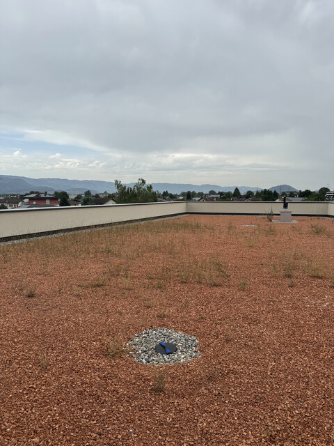 Neue Dachgeschosswohnung mit großer Terrasse  - Erstbezug! Feldkirch Naflastraße