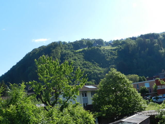 Moderne 4-Zimmer-LOFT in Dornbirn!