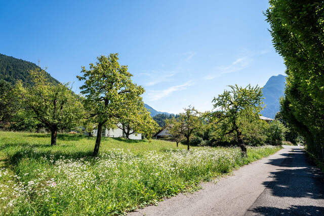 Bludenz Obdorf: Baugrundstück in exklusiver Lage