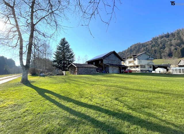 Bregenz: Langen bei Bregenz: charmante 1-Zimmer-Wohnung ca. 28 m2, Balkon ca. 4,60 m2 - TOP 6