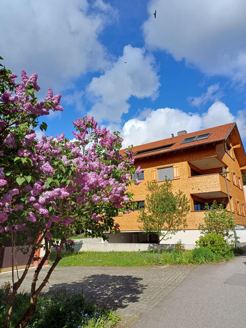  Schöne 3-Zimmer Neubauwohnung mit Bergpanorama im Zentrum von Weiler zu vermieten