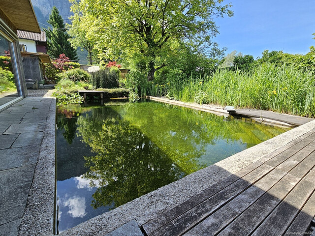 Einzigartiges Wohn- und Seminarhaus in Dornbirn mit großem Grundstück, Schwimmteich und Spa-Bereich!