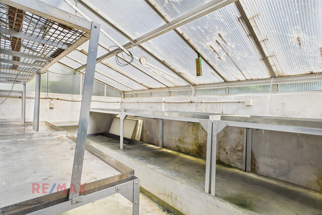 Einmalige Chance in Hard! Traumhaftes Einfamilienhaus mit Gestaltungspotential zum attraktiven Preis