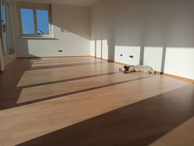 Moderne Wohnung in Bregenz – ruhige Lage, gute Anbindung, ankommen, wohlfühlen