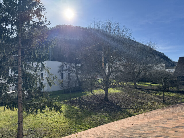 ohne Provision - Terrassenwohnung 3,5 Zimmer