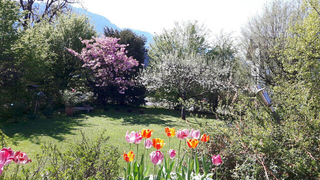 Großzügiges Wohnen mit traumhaftem Garten in ruhiger Bestlage nahe der Stadt