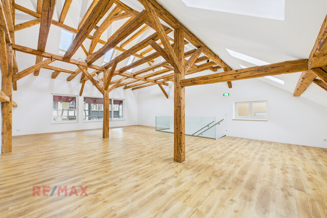 Ein Schatz mitten in der Stadt – Geschäftsfläche mit verstecktem Gewölbekeller