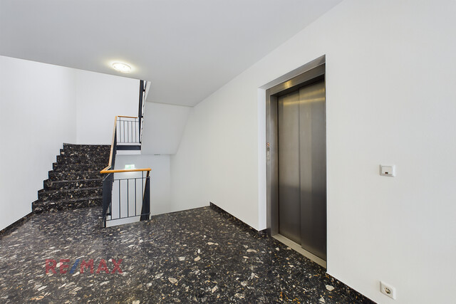 Mitten in der City - der perfekte Standort für Ihr neues Refugium