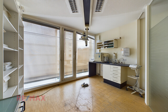 Mitten in der City - der perfekte Standort für Ihr neues Refugium