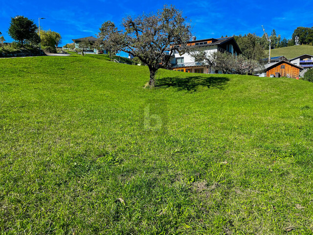 UNVERBAUBARER PANORMABLICK IM BERGDORF GURTIS