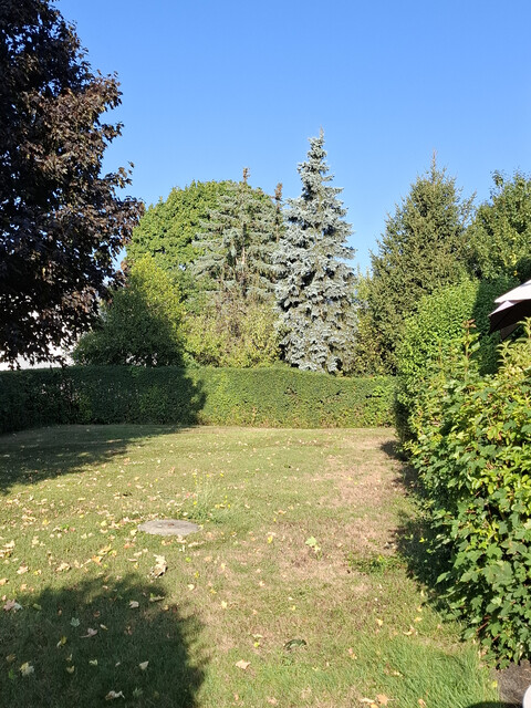 Schöne 2,5 Zimmer-Wohnung mit 8 m² Balkon, Carport, Keller und Fahrradabstellraum in Feldkirch-Gisingen