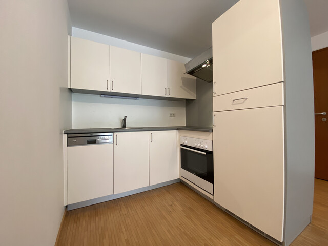 "ohne Provision" helle 3 Zimmer Terrassenwohnung mit Gartenmitbenützung