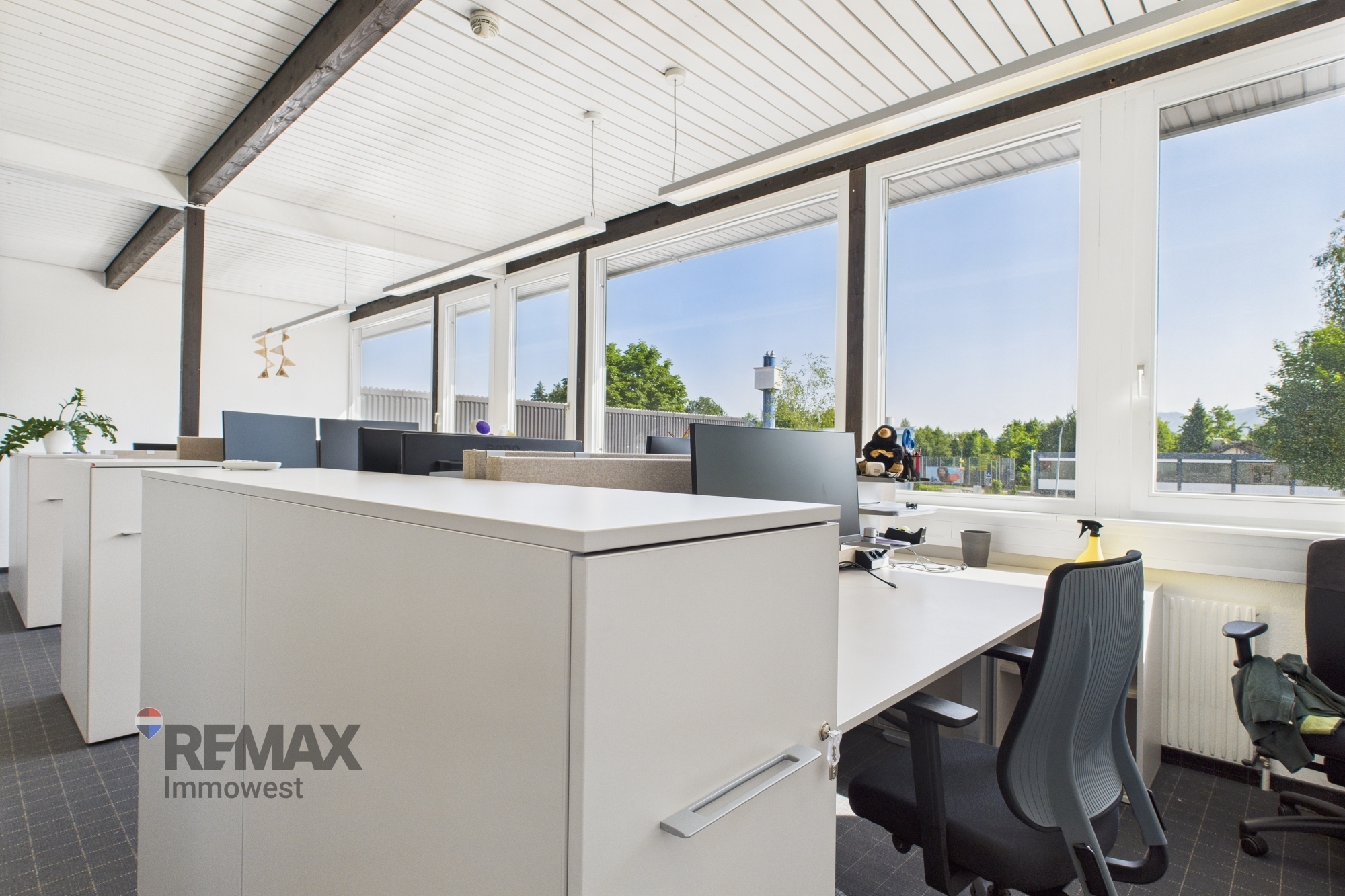 Gesamtanmietung oder Co-Working – volle Flexibilität und sofort verfügbar