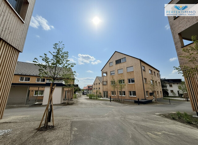 3 Zimmer Wohnung in Hohenweiler - Neubau!
