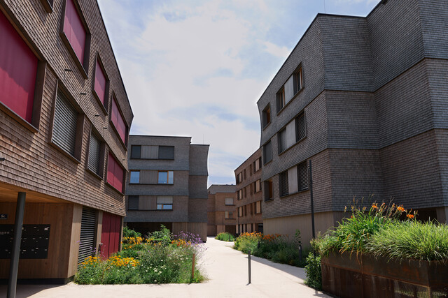 Floras Garten - 1-Zimmerwohnung / Haus Galium - Top 10