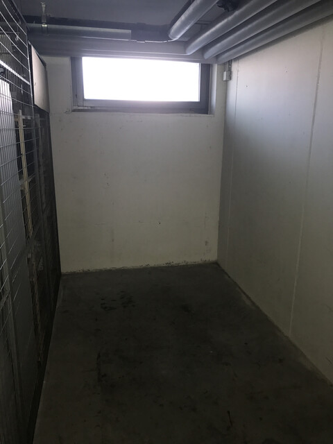 Wohnen nahe am See: Helle 2-Zimmer-Wohnung mit XL-Loggia in Hard (ab 01.10.2026)