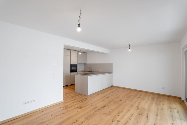 Fußach: Neubau Eckreihenhaus - schlüsselfertig und sofort bezugsbereit!