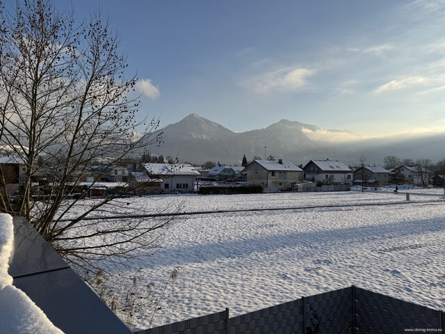 Exklusives, modernes Einfamilienhaus mit Wellnesskomfort auf großzügigem 1.500 m² Grundstück