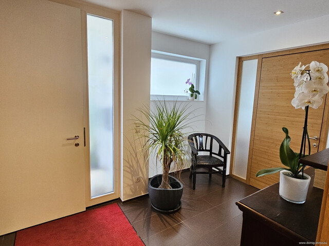 Exklusives, modernes Einfamilienhaus mit Wellnesskomfort auf großzügigem 1.500 m² Grundstück