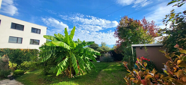 Wunderschöne 3-Zimmer-Garten-Wohnung in ruhiger Lage in  Bregenz