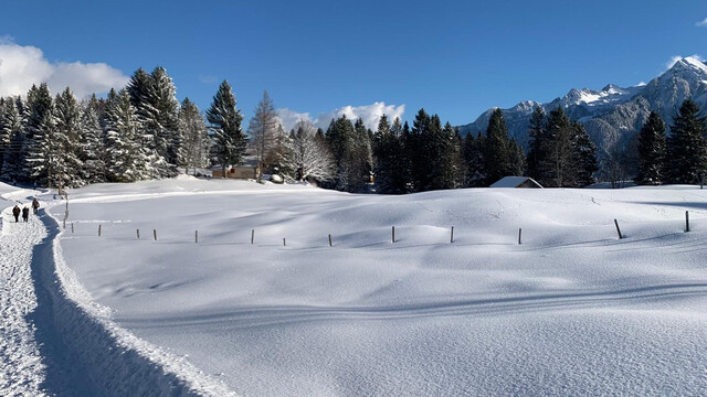 Grundstück für ein Ferienhaus im Schi- und Wandergebiet