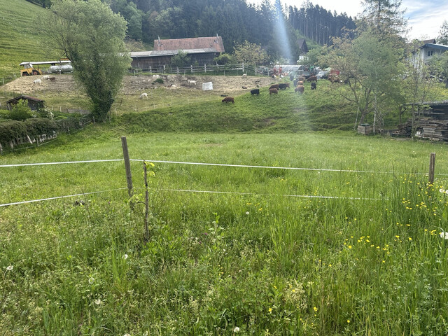 Privatverkauf - Sonniges Baugrundstück in Satteins – 1.069 m² in ruhiger Lage mit Bergblick