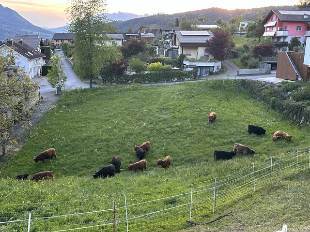 Privatverkauf - Sonniges Baugrundstück in Satteins – 1.069 m² in ruhiger Lage mit Bergblick