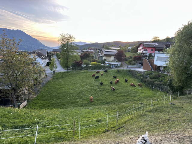 Privatverkauf - Sonniges Baugrundstück in Satteins – 1.069 m² in ruhiger Lage mit Bergblick