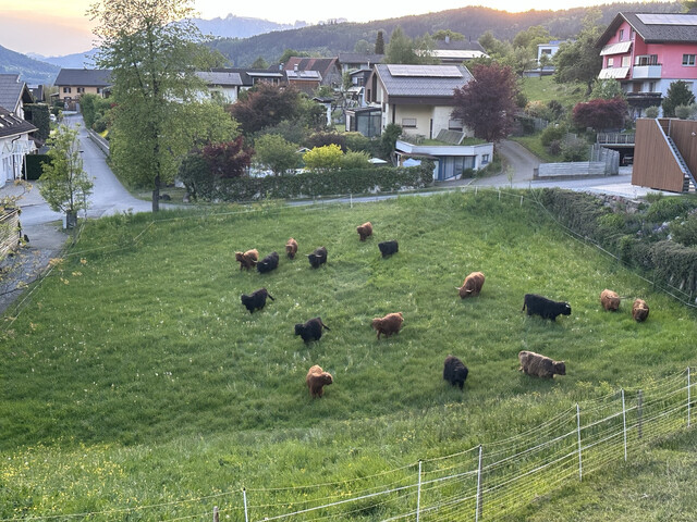Privatverkauf - Sonniges Baugrundstück in Satteins – 1.069 m² in ruhiger Lage mit Bergblick